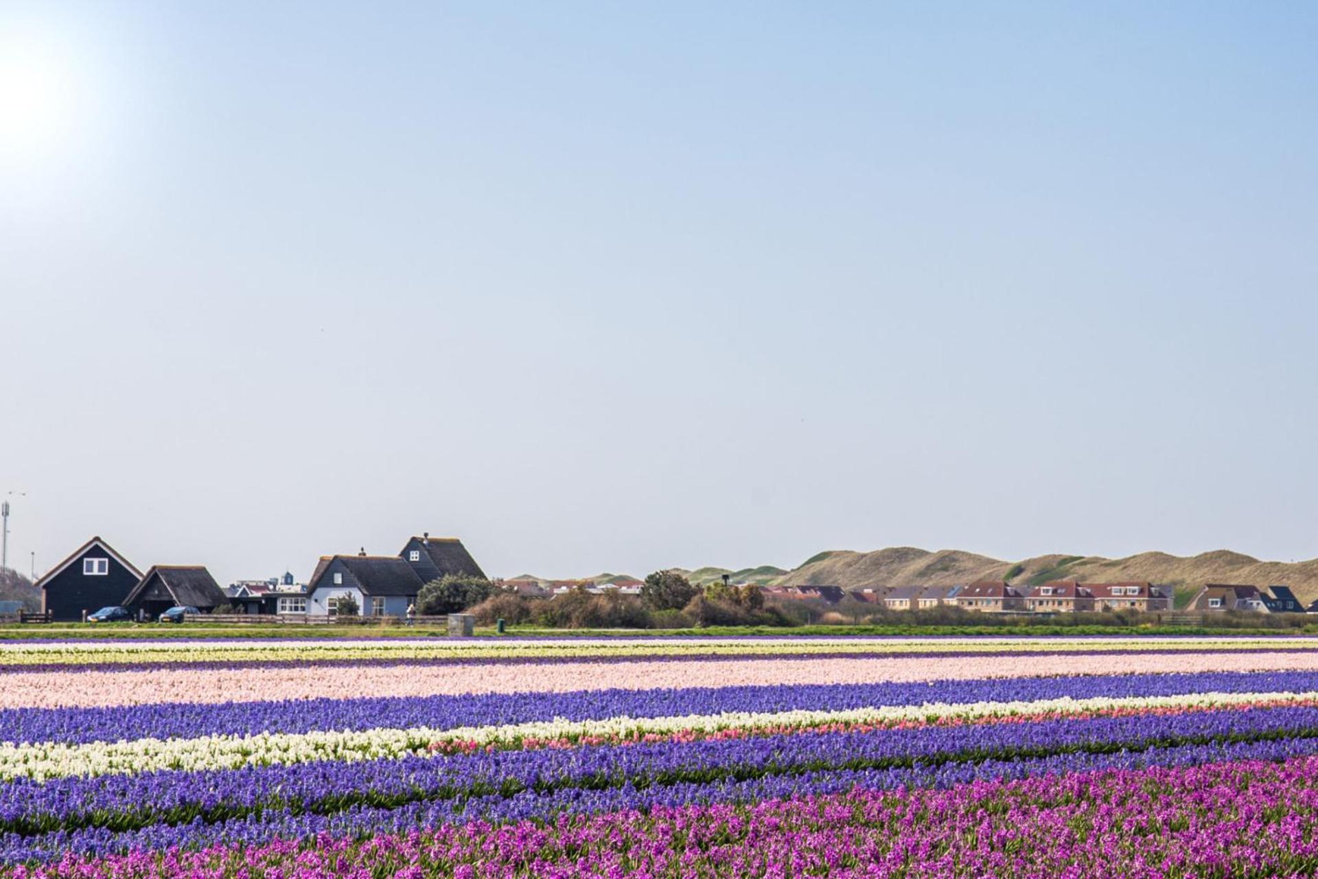 Beach Appartement 14 - Aan De Duinen, Callantsoog Aan Zee 외부 사진