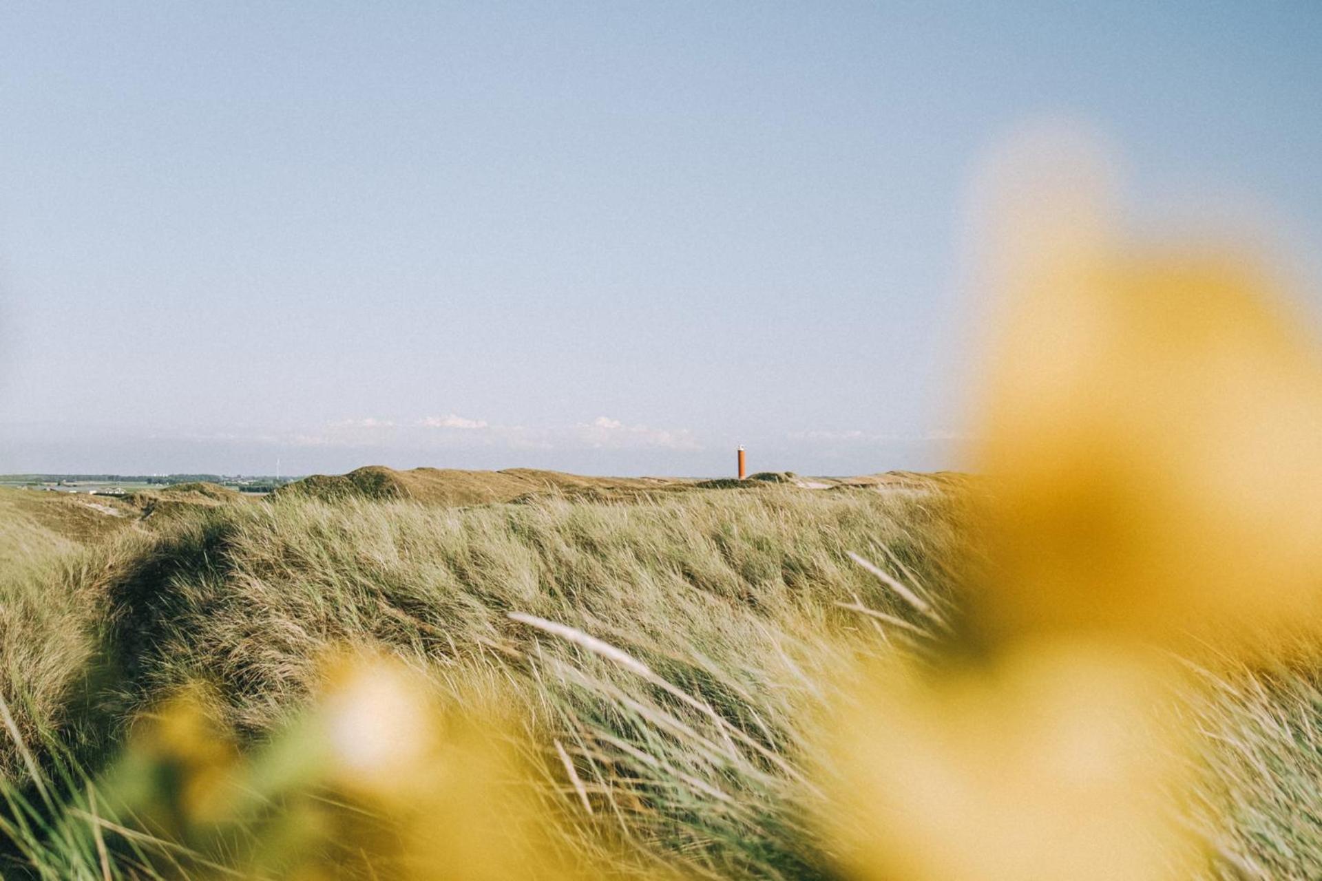 Beach Appartement 14 - Aan De Duinen, Callantsoog Aan Zee 외부 사진